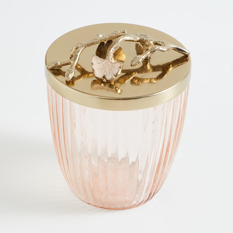 Splendid Modern Luxe Glass Canister