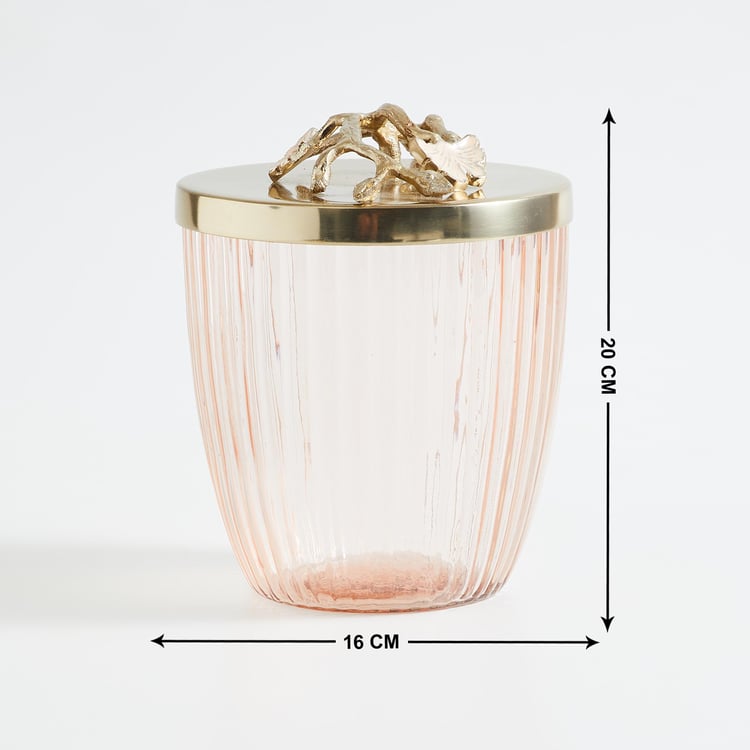 Splendid Modern Luxe Glass Canister