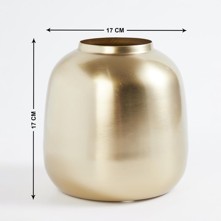 Gold Rush Iron Solid Beaker Vase