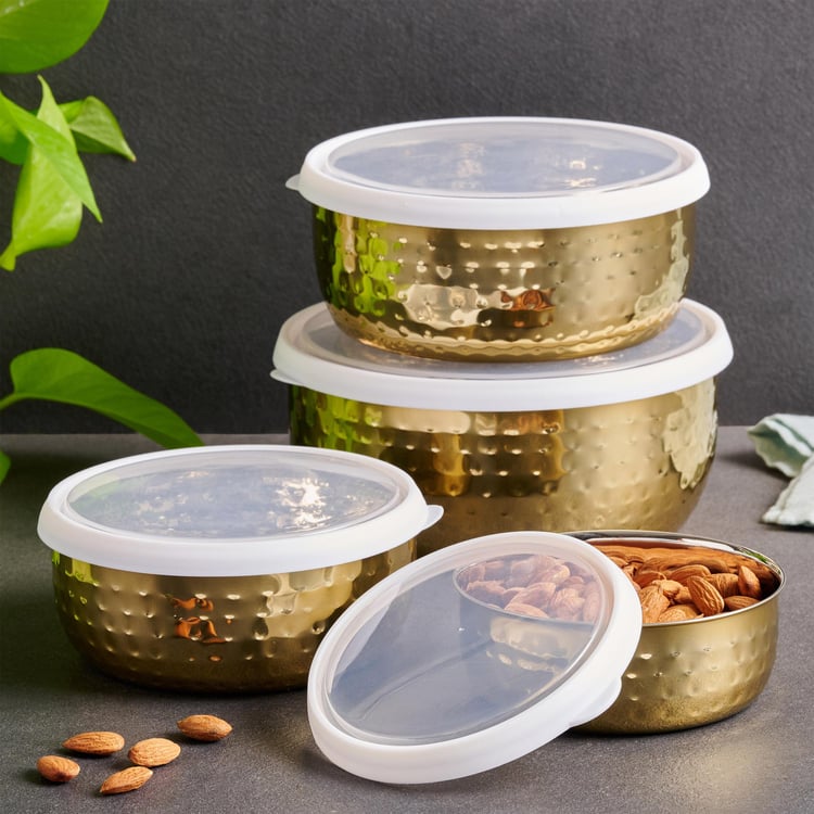 Shale Cantina Stainless Steel Food Storage Container with Lid - Set of 4