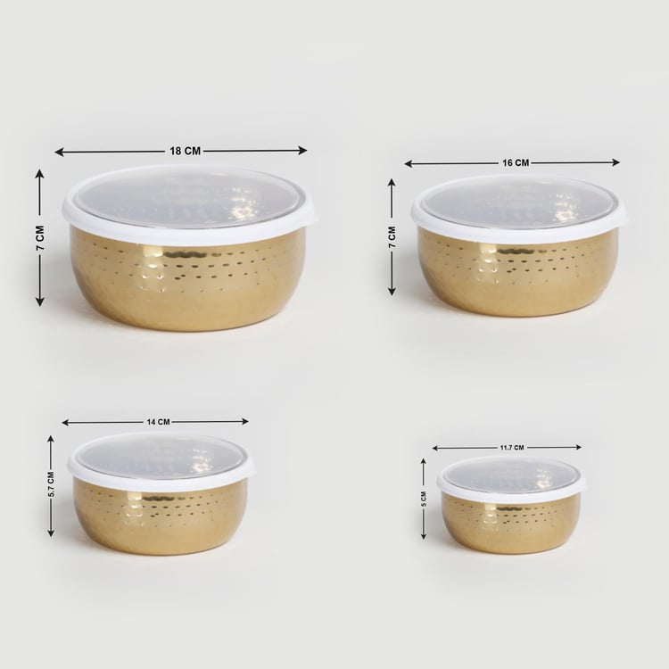 Shale Cantina Stainless Steel Food Storage Container with Lid - Set of 4