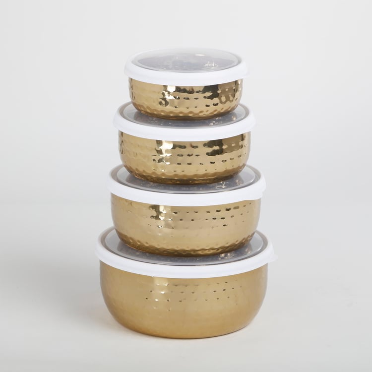 Shale Cantina Stainless Steel Food Storage Container with Lid - Set of 4