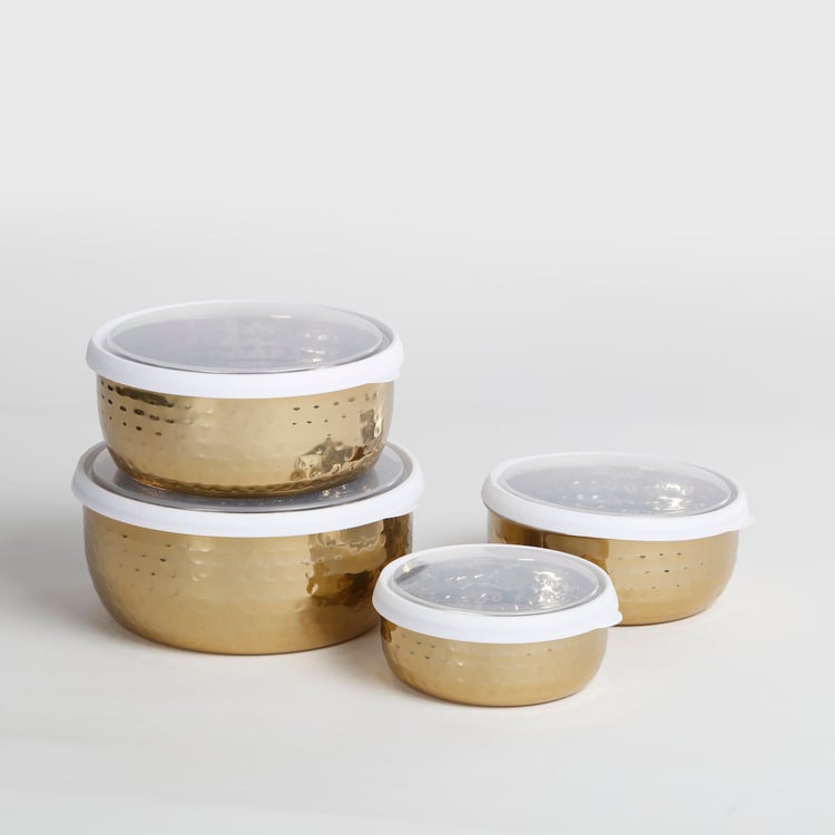 Shale Cantina Stainless Steel Food Storage Container with Lid - Set of 4