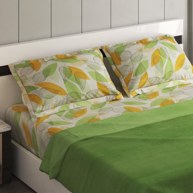 Noah Cotton 4Pcs Printed Double Bed-In-A-Box Set