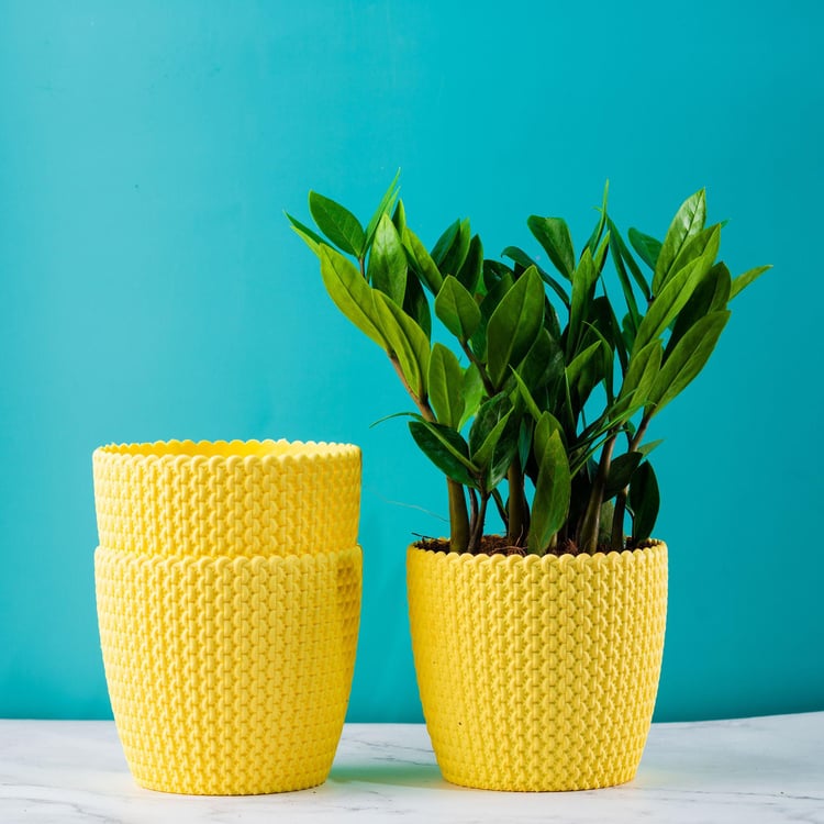 NURTURING GREEN Capri Yellow Textured Polypropylene Round Floor Planter - Set of 3