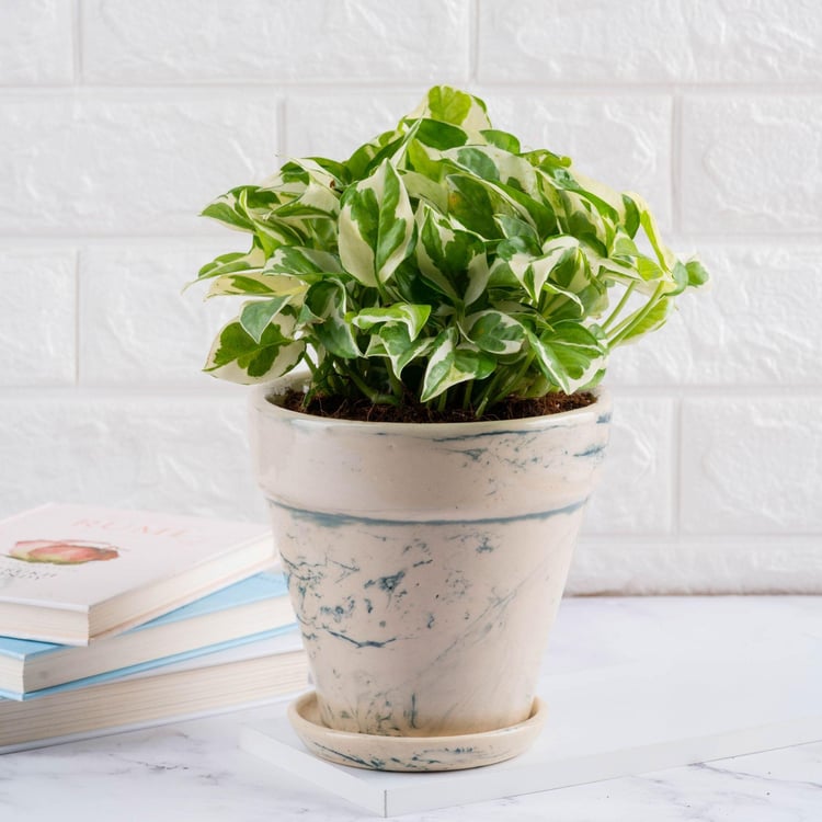 NURTURING GREEN Mystique Fusion Multicolour Printed Ceramic Floor Planter with Tray