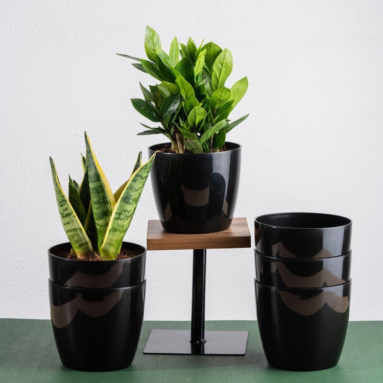 NURTURING GREEN Valencia Black Printed Polypropylene Floor Planter - Set of 6