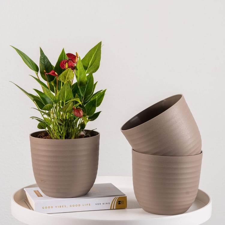 NURTURING GREEN Wave Brown Textured Polypropylene Floor Planter - Set of 3