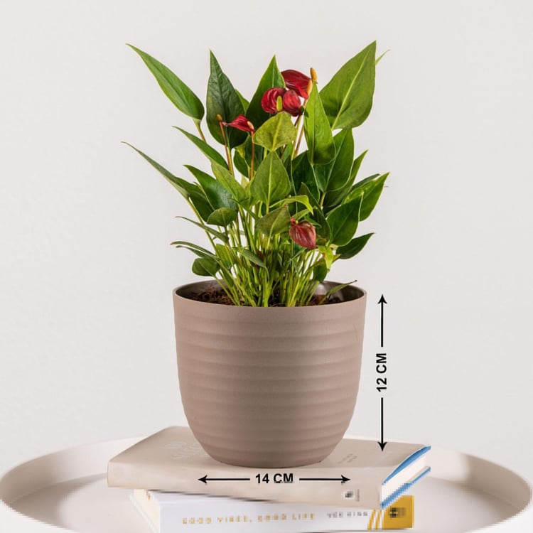 NURTURING GREEN Wave Brown Textured Polypropylene Floor Planter - Set of 3