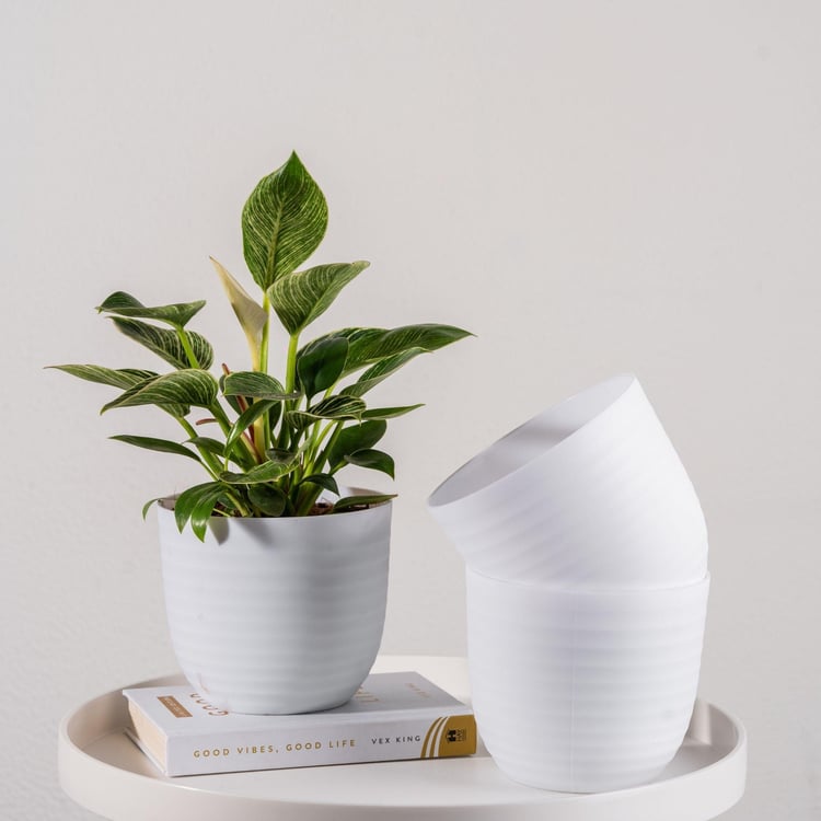 NURTURING GREEN Wave White Textured Polypropylene Floor Planter - Set of 3