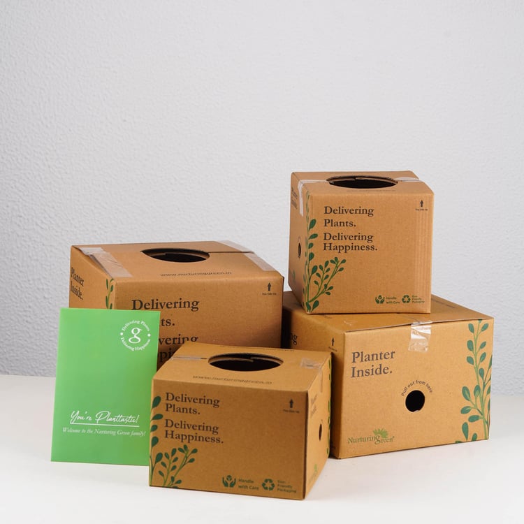 NURTURING GREEN Wave White Textured Polypropylene Floor Planter - Set of 3