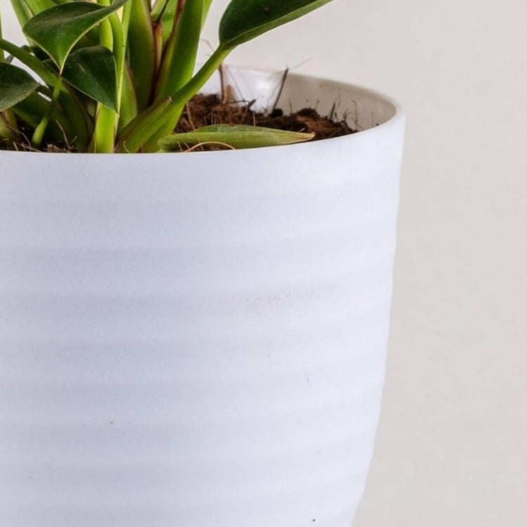 NURTURING GREEN Wave White Textured Polypropylene Floor Planter - Set of 3