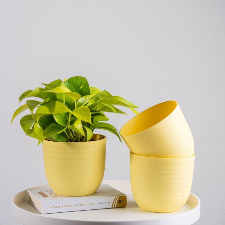 NURTURING GREEN Wave Yellow Textured Polypropylene Floor Planter - Set of 3