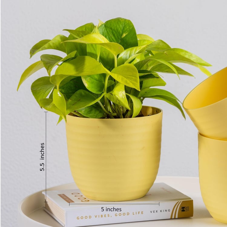 NURTURING GREEN Wave Yellow Textured Polypropylene Floor Planter - Set of 3