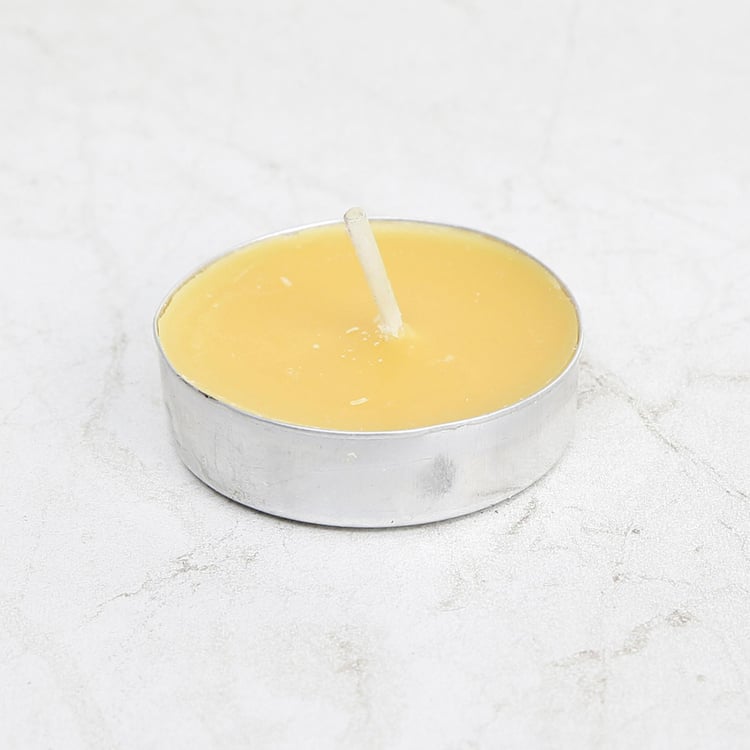 Luminescent Set of 50 Citrus Scented T-Light Candles