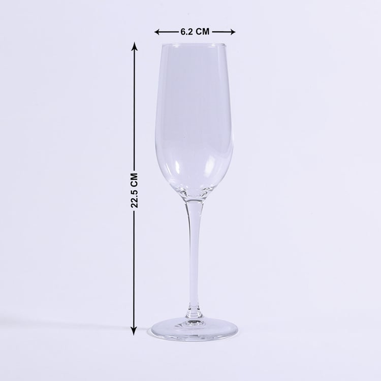 WONDERCHEF Bormiloli Transparent Glass Champagne Flute - Set Of 2