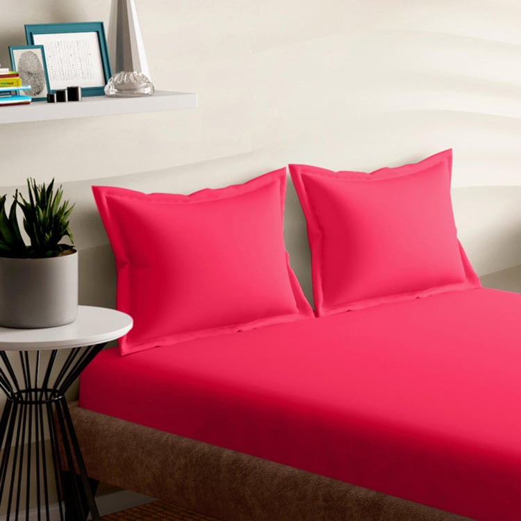 PORTICO Shades Pink Solid Cotton Fitted King Size Bedsheet Set - 180x198 cm - 3Pcs