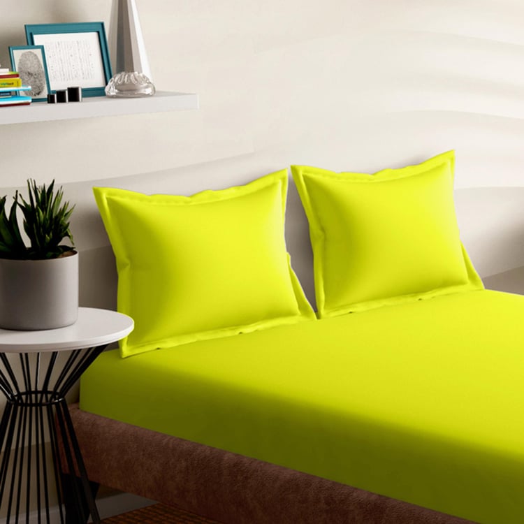 PORTICO Shades Green Solid Cotton Fitted King Bedsheet Set - 180x198 - 3Pcs