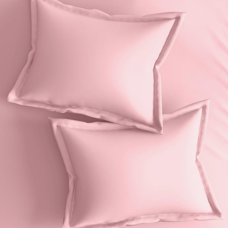 PORTICO Shades Pink Solid Cotton Queen Size Bedsheet Set - 224x254cm - 3pcs