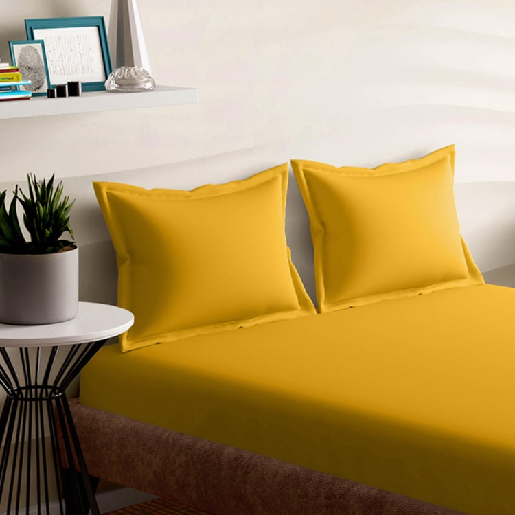 PORTICO Shades Yellow Solid Cotton Super King Fitted Bedsheet Set - 274x274cm - 3Pcs