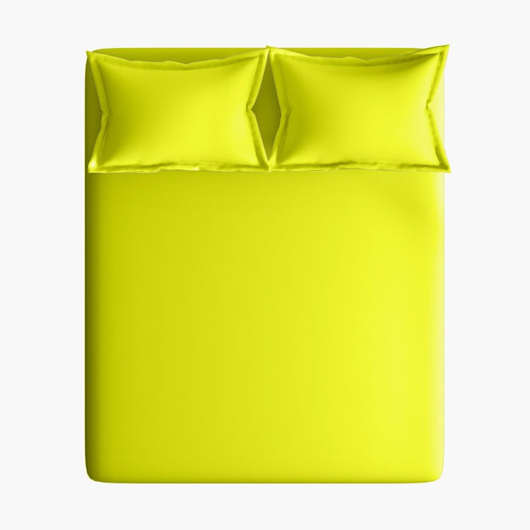 PORTICO Hashtag Green Solid Cotton King Size Bedsheet Set - 274x274cm - 3Pcs