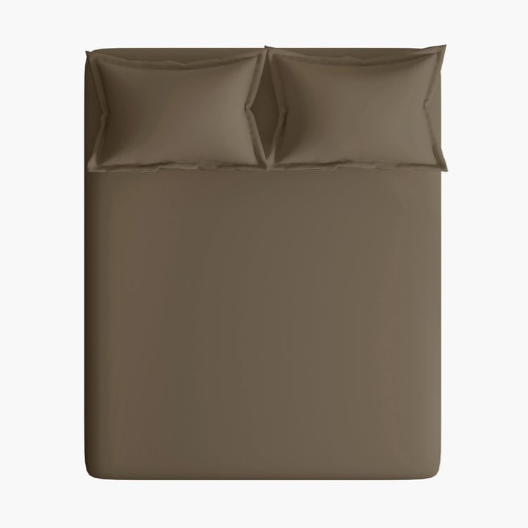PORTICO Shades Brown Solid Cotton King Size Bedsheet Set - 274 x 274 cm - 3Pcs