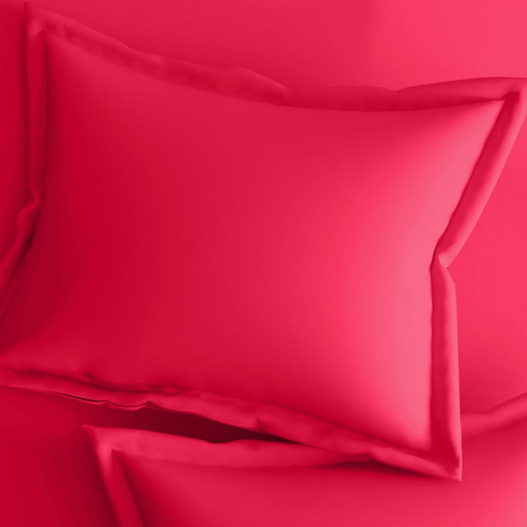 PORTICO Shades Pink Solid Cotton Single Bedsheet Set - 46x69cm - 2Pcs