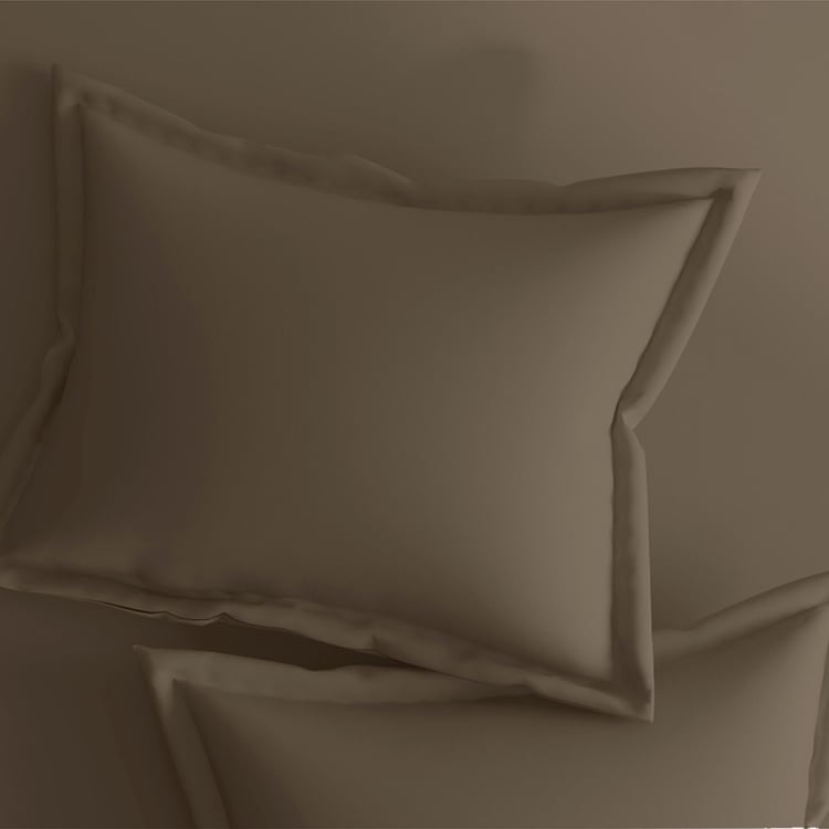 PORTICO Shades Brown Solid Cotton Single Bedsheet Set - 150x224cm - 2Pcs