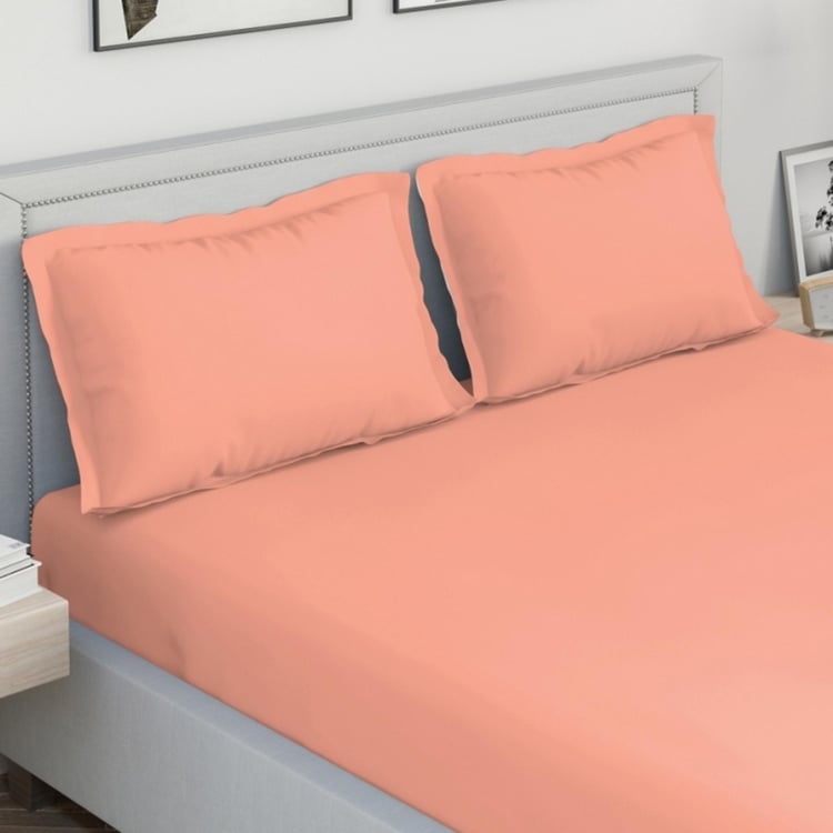 D'DECOR Spectrum Pink Solid Cotton King Fitted Bedsheet Set - 182x198cm - 3Pcs