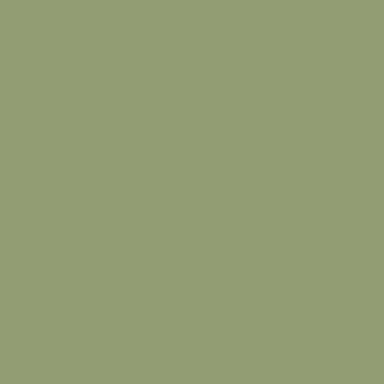 D'DECOR Duet Green Solid Cotton Super King Bedsheet Set - 274x274cm - 3Pcs