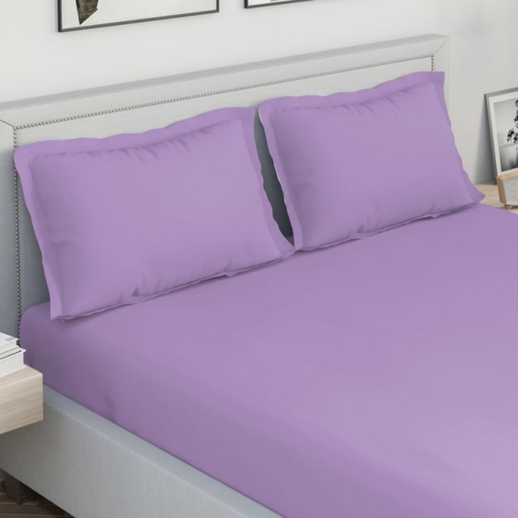 D'DECOR Spectrum Collection Purple Solid Cotton King Bedsheet Set - 274 x 274 cm - 3 Pcs