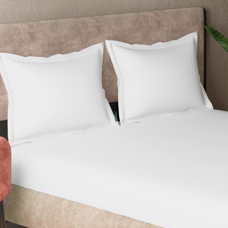 PORTICO Hotel White Solid Cotton Double Bedsheet - 224x254cm - Set of 3