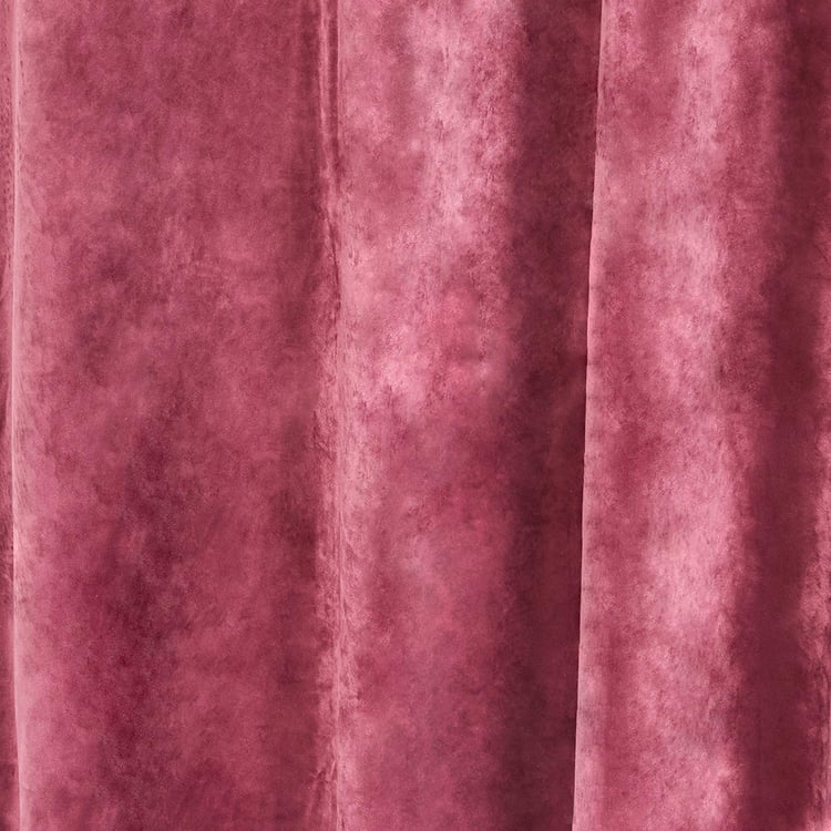 PORTICO Silken Velvet Window Curtain, Maroon - 130x160cm