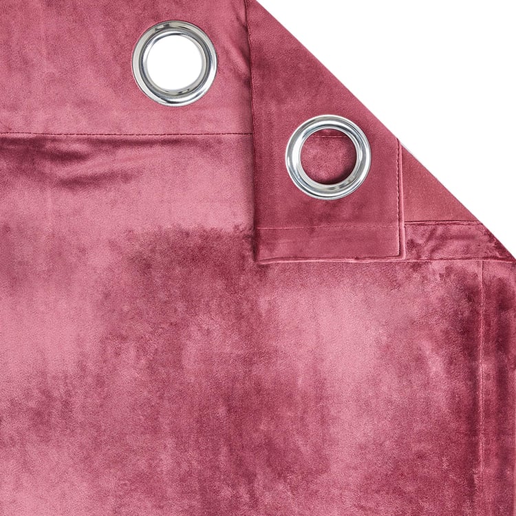 PORTICO Silken Velvet Window Curtain, Maroon - 130x160cm