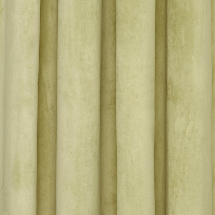 PORTICO Silken Velvet Green Solid Window Curtain - 130x160cm