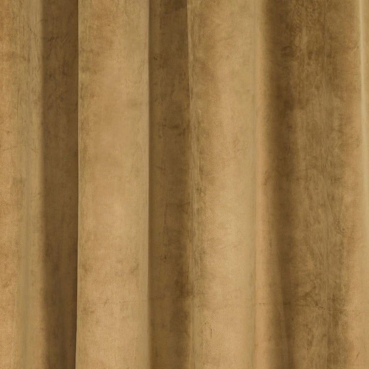 PORTICO Silken Velvet Window Curtain, Brown - 130x160cm