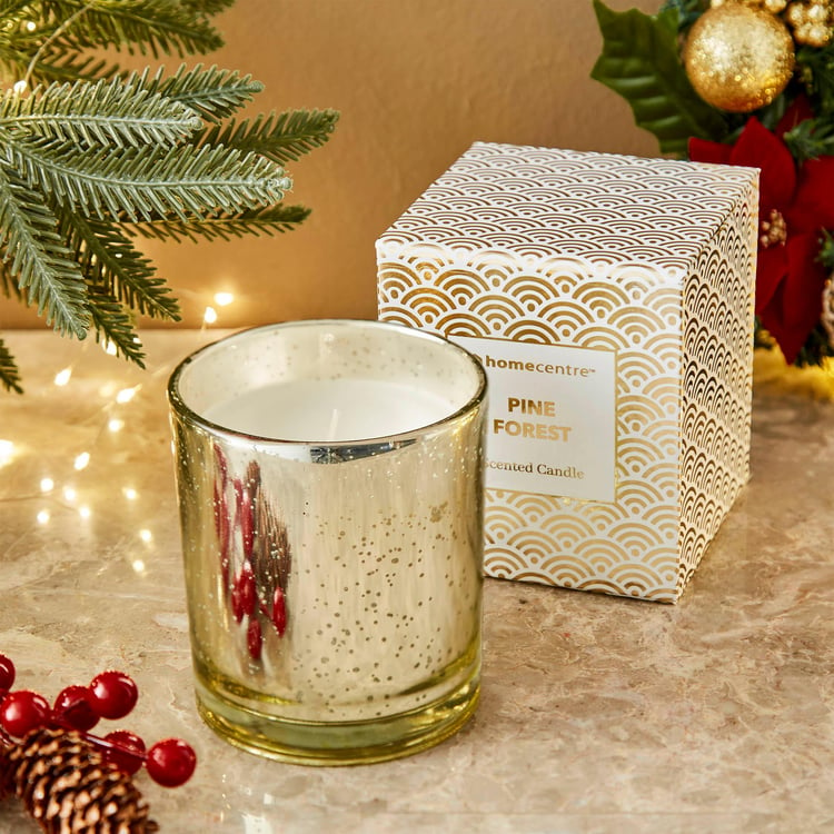 Carols Pine Forest Scented Jar Candle