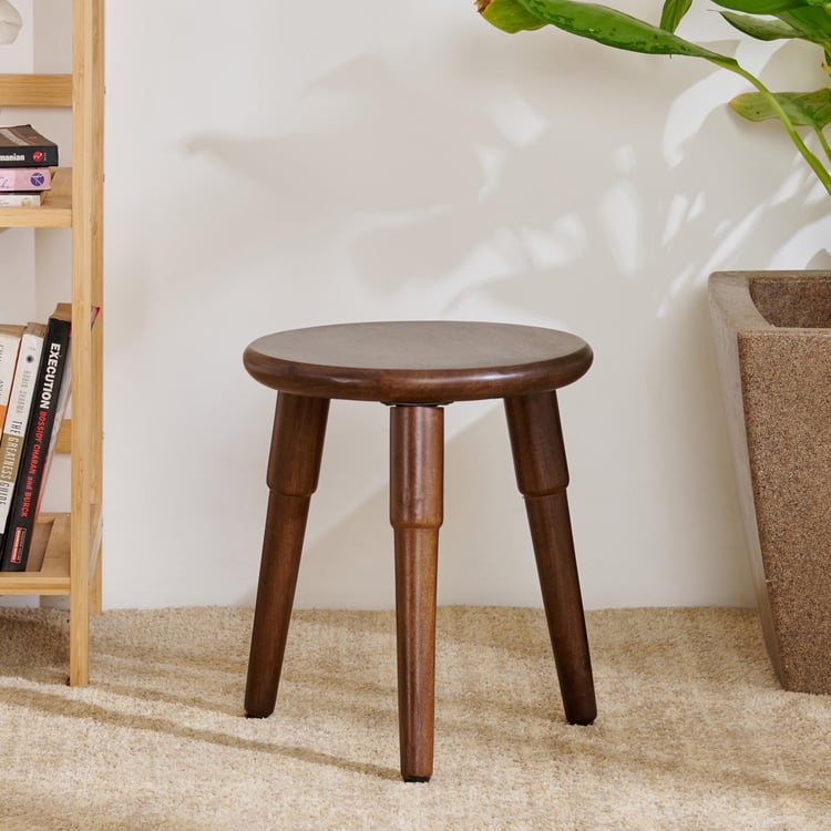 Neptune Mango Wood End Table - Brown