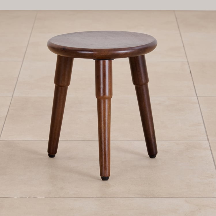 Neptune Mango Wood End Table - Brown