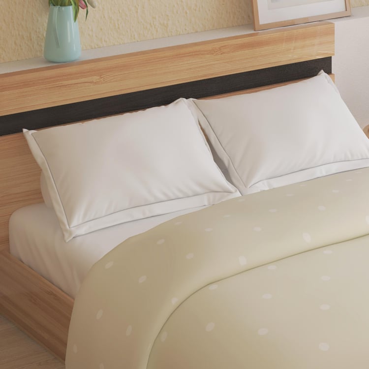 Colour Refresh Cotton Printed Double Quilt