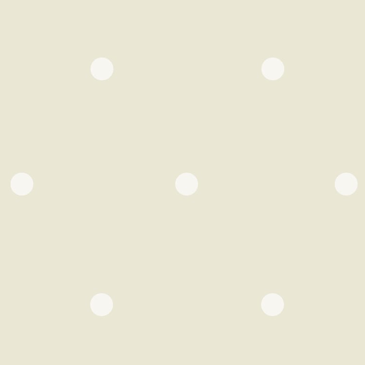 Colour Refresh Cotton Printed Double Quilt