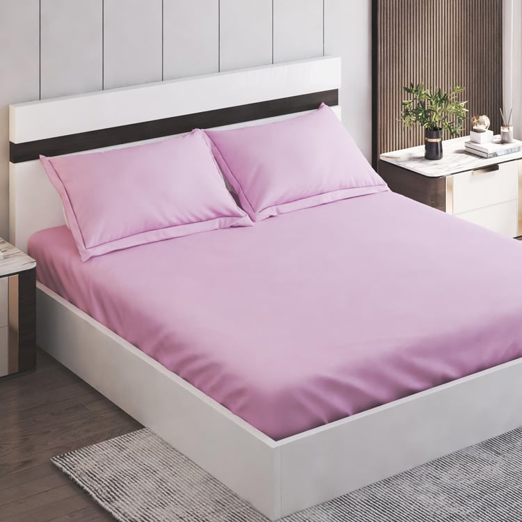 Colour Refresh Cotton 144TC 3Pcs King Fitted Bedsheet Set