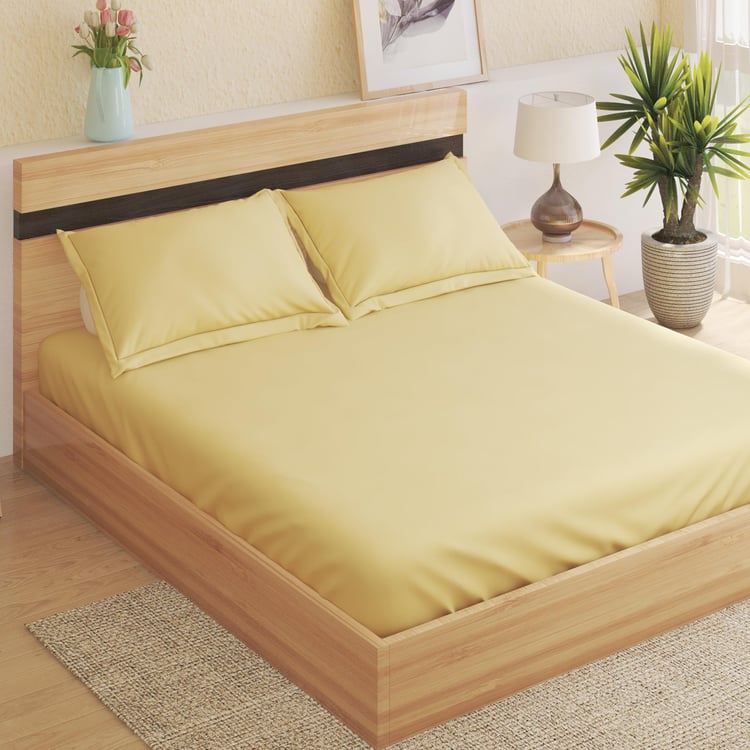 Colour Refresh Cotton 144TC 3Pcs King Fitted Bedsheet Set