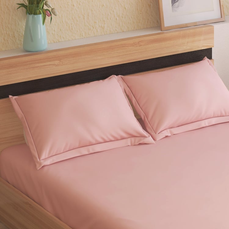 Colour Refresh Cotton 144TC 3Pcs King Fitted Bedsheet Set