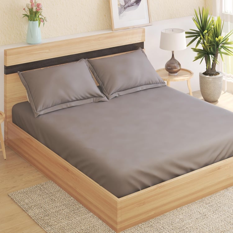 Colour Refresh Cotton 144TC 3Pcs King Fitted Bedsheet Set