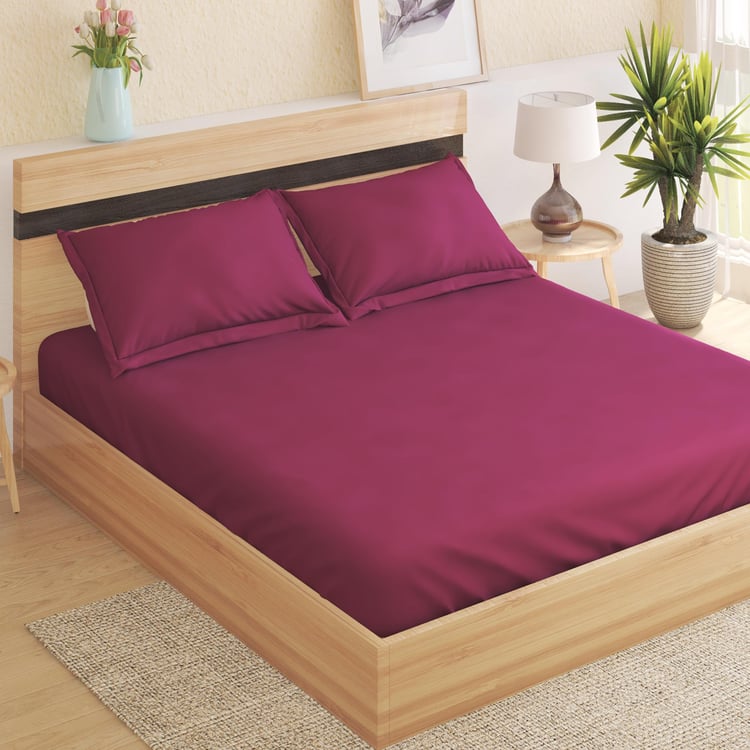 Colour Refresh Cotton 144TC 3Pcs Super King Bedsheet Set