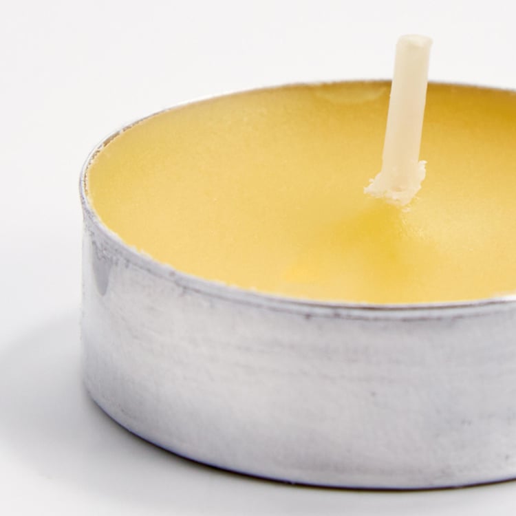 Luminescent Set of 50 Citrus Scented T-Light Candles