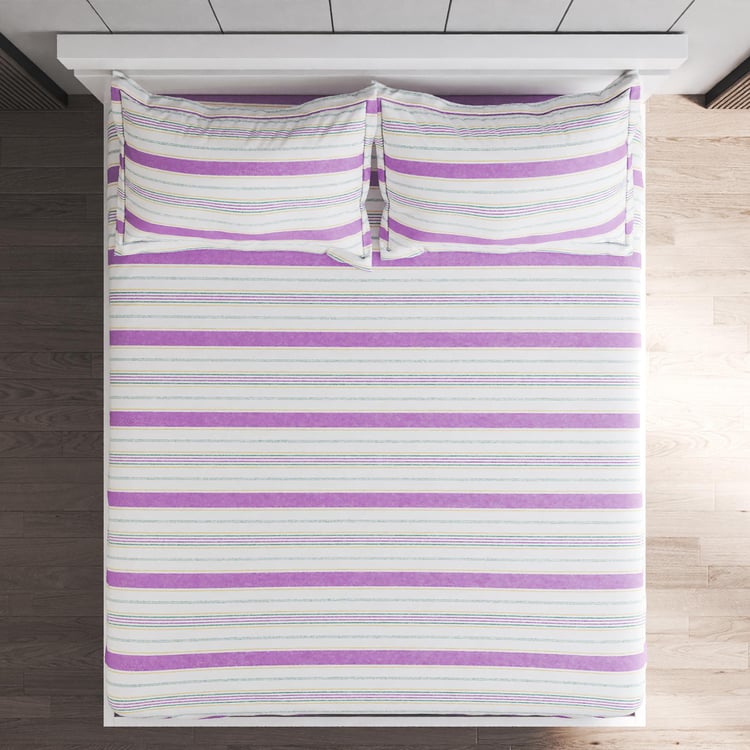 Grandeur Cotton 200TC Striped 3Pcs King Fitted Bedsheet Set