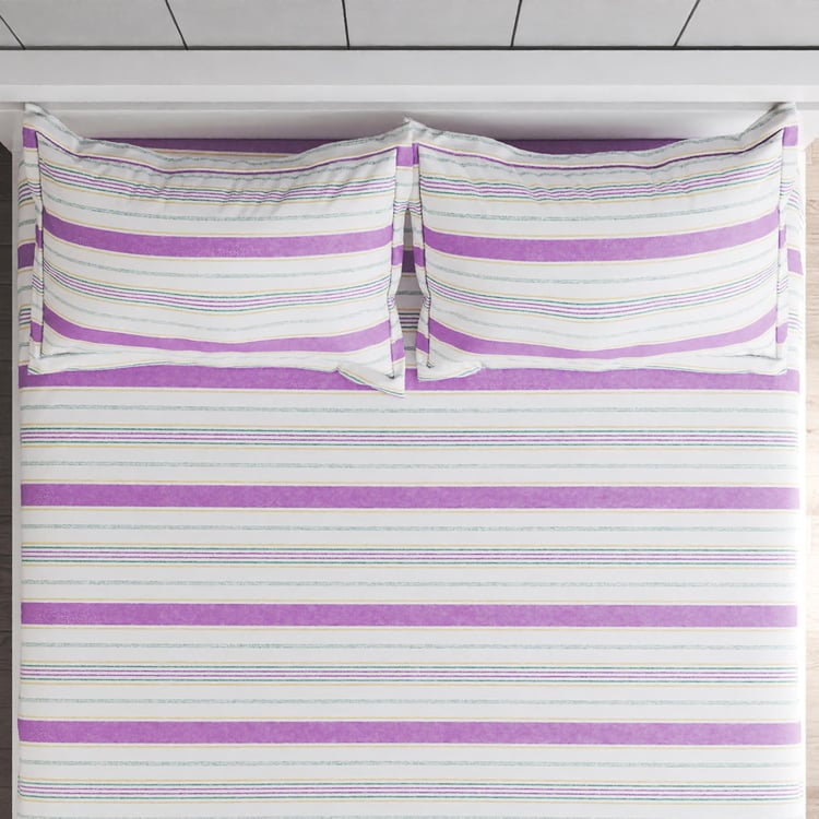 Grandeur Cotton 200TC Striped 3Pcs King Fitted Bedsheet Set