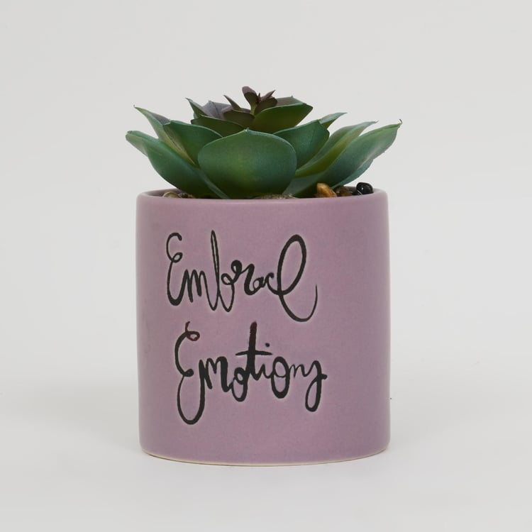 Garnet Garden Artificial Succulent in Ceramic Planter